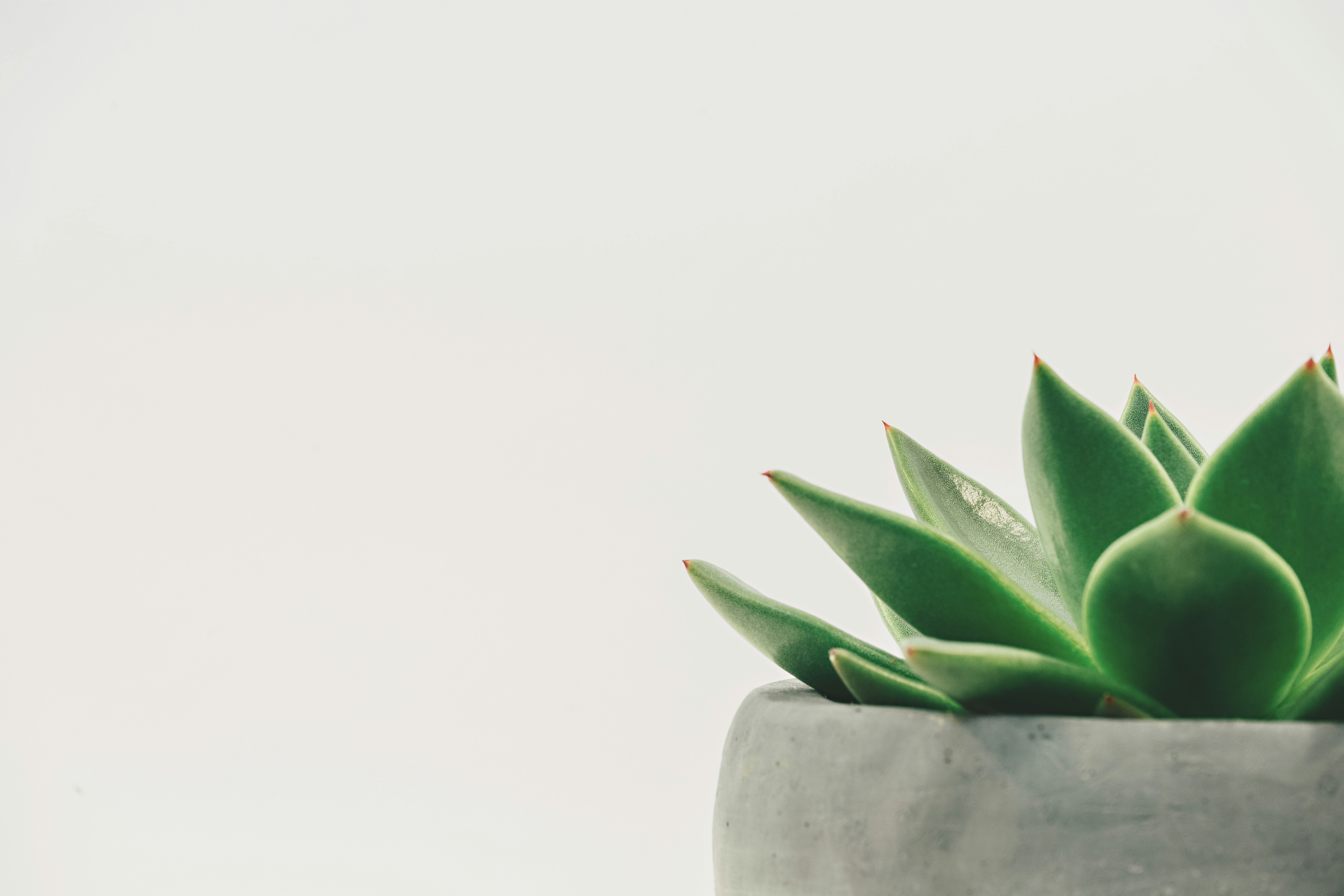 Calm, welcoming counselling environment